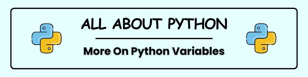 Python Variables Continued